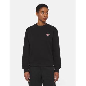 product/d/i/dickies_dk0a4yqdblk1_black_3.jpg