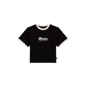 product/d/i/dickies_dk0a4z8iblk1_black_1.jpg