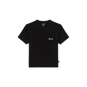 product/d/i/dickies_dk0a4z8jblk1_black_1.jpg