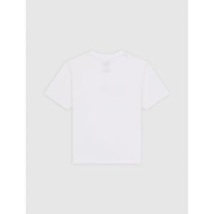product/d/i/dickies_dk0a4zao0wh1_white_2.jpg