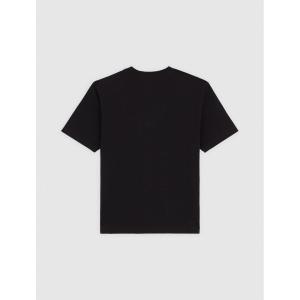 product/d/i/dickies_dk0a4zaoblk1_black_2.jpg