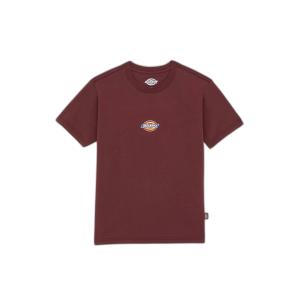 dk0a4zaol161-t-shirt-femme-dickies-maple-valley-andorra