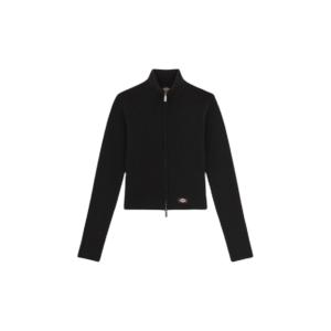 product/d/i/dickies_dk0a864oblk1_black_1.jpg