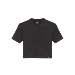 dk0a866fblk1-t-shirt-femme-dickies-plentywood-black