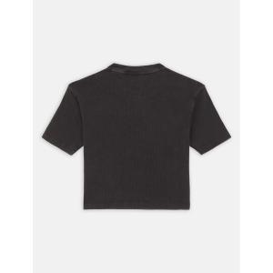 product/d/i/dickies_dk0a866fblk1_black_2.jpg