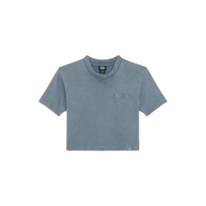 dk0a866fg701-t-shirt-femme-dickies-plentywood-stormy-weather