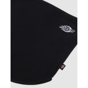 product/d/i/dickies_dk0a87p9blk1_black_3.jpg