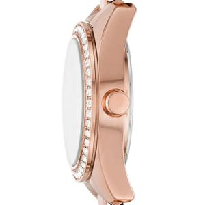 product/d/k/dkny_dk1l017m0-065_2.jpg