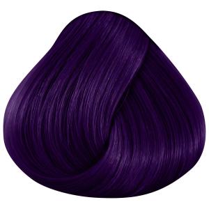 product/l/a/la-riche_lar09_violet_3.jpg