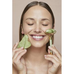 product/p/a/paloma-beauties_hb034_1.jpg