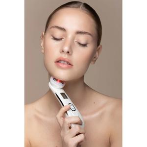 product/p/a/paloma-beauties_tec002_0.jpg