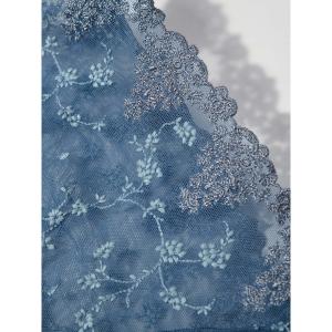 product/p/a/passionata_t501-0586_bleu-petrole-camaieu_8.jpg