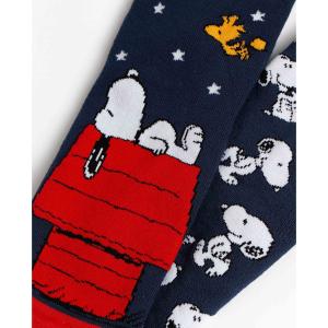 product/p/e/peanuts_21765e-0-000400_surtido_2.jpg