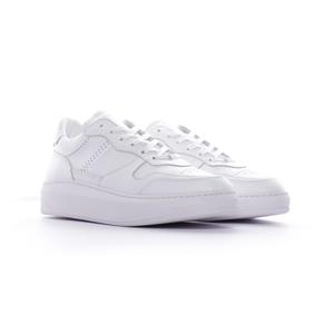 product/p/i/piola_834020-50-3_0.jpg