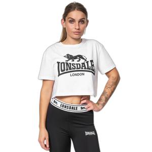 product/p/u/punch_114075-7509_2.jpg