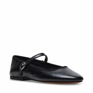 product/s/t/steve-madden_sm11003146-03001-017_1.jpg