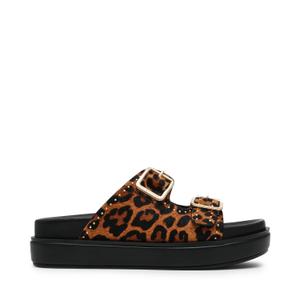 product/s/t/steve-madden_sm11003597-03001-969_leopard_1.jpg