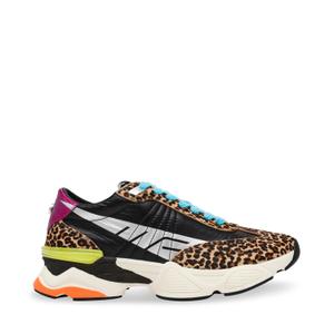 product/s/t/steve-madden_sm11003600-03008-ani_animal-multi_1.jpg