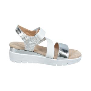 product/t/t/tt-bagatt_d31-arb80-5050-1320_silver-white_1.jpg